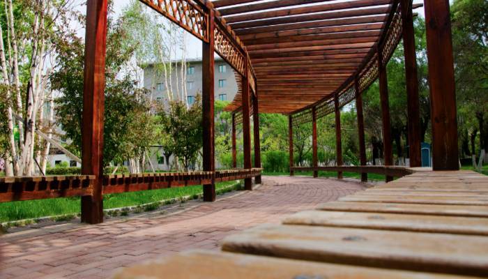 北外国际高中课程