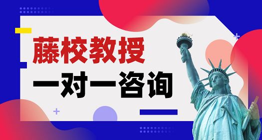 美国留学藤校教授一对一咨询北京特优生教育