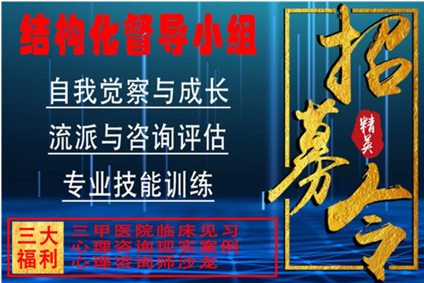 五季心理结构化督导小组培训