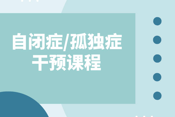 自闭症/孤独症干预课程