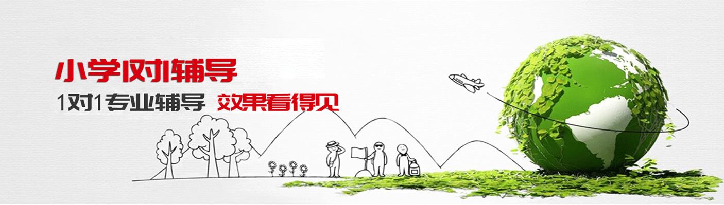 小学一对一辅导 小学一对一辅导