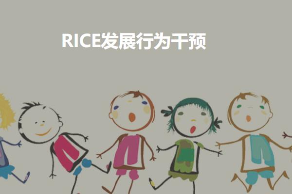RICE发展行为干预课程