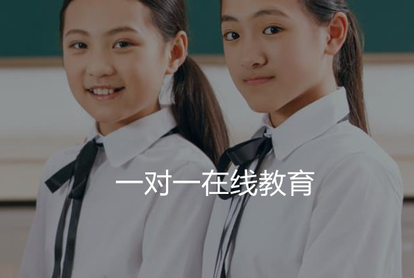 高中数学一对一辅导