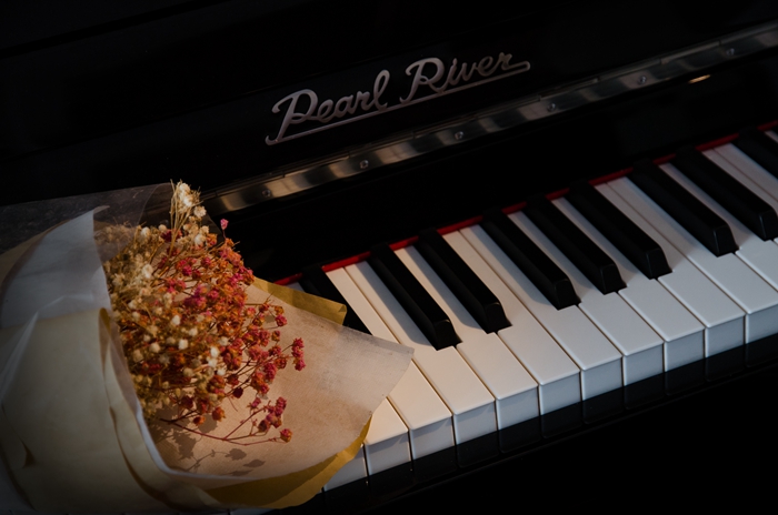 上海钢琴培训哪家比较好