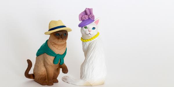 温州鹿城区新城春华FLASH动画设计软