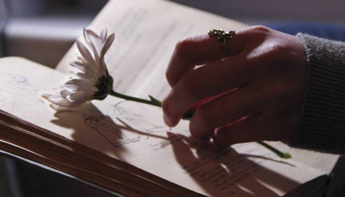 法国里昂商学院MBA学位班