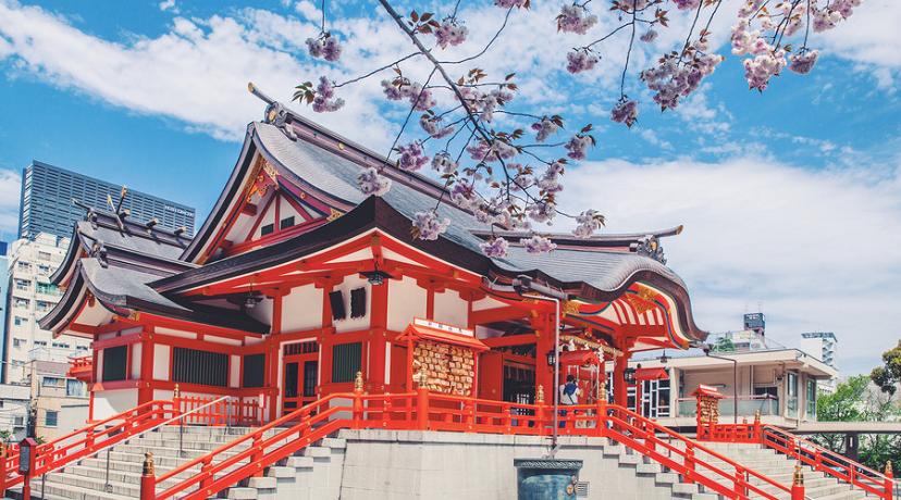 宁波托福90-100冲刺班